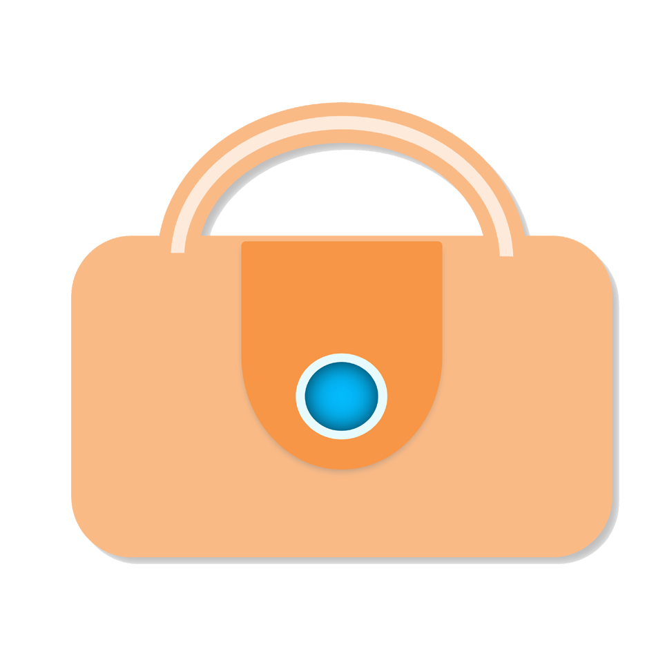 Software Engineer (Developer)