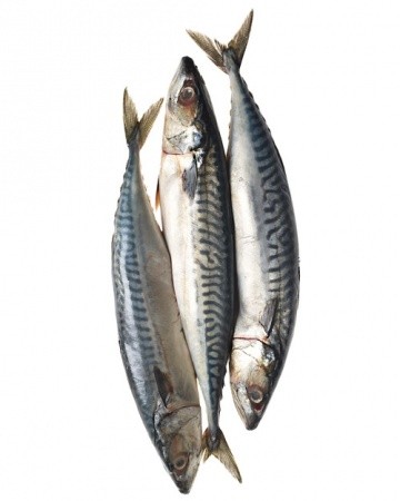 Go Fish  If you suffer from dry eyes, up your seafood intake. Salmon, sardines, and mackerel contain omega-3 fatty acids, which the body uses to produce tears, among other things. Research suggests th